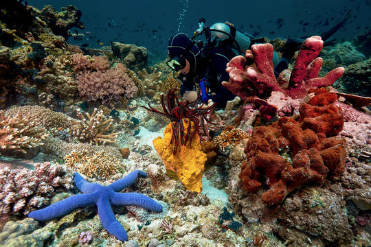 UNDERWATER WORLD