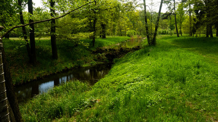 Fototapeta na wymiar Beautiful views of the Świerklaniec Park. Ready for entry