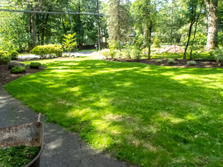 Naklejka premium mowing the lawn in the garden in early summer