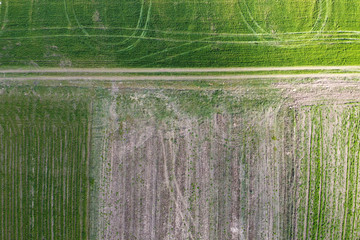 Rural road in green field, aerial view. Farmland, wheel marks. Aerial shot of spring agricultural landscape