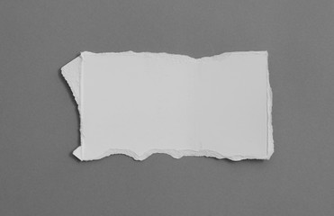 torn paper on gray background with copy space for text