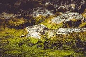 big rocks full of moss texture surrounded by water of a lagoon
