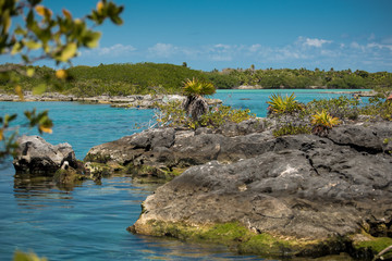 Beautiful natural view of transparent waters of turquoise blue Caribbean lagoon Yal-ku located in Mexican Mayan Riviera, Quintana Roo at Akumal © Arturo Verea