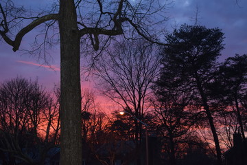 A beautiful winter sunset paints the sky