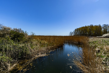 Bodden bei Muglitz, Insel Rügen