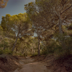 Obraz premium Menorca