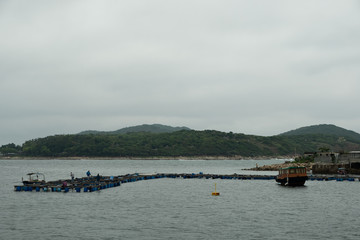 Fototapeta na wymiar Shrimp farming on Tap Mun Island