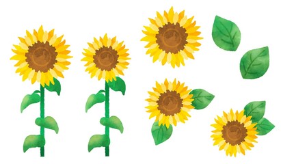 ひまわりの花　パーツセット