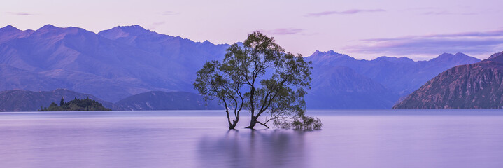 Wanaka Tree New Zealand. Popular Travel Destination South Island NZ. New Zealand Landscape at Sunset with Mountains and Sky. Panoramic Landscape banner Background