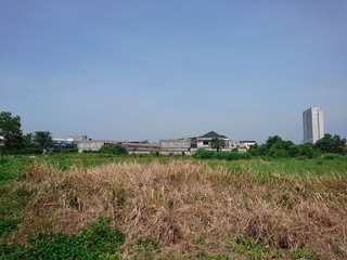 rural landscape with farm