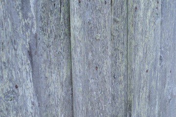 wooden fences