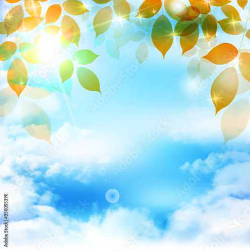 紅葉 葉 秋 背景 Wall Mural Wallpaper Murals J Boy 紅葉 葉 秋 背景 Wall Mural Wallpaper Murals J Boy