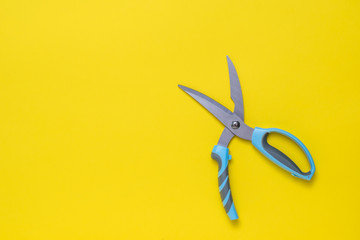 Kitchen scissors with blue handles on a bright yellow background.