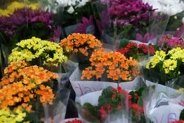 bouquets of flowers for sale close up picture