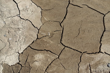 Cracked earth soil ground texture background. Mosaic pattern of wet mud clay earth and sand, top view