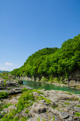 Fototapeta na wymiar 新緑の長瀞渓谷の風景
