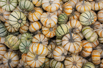 Pumpkins