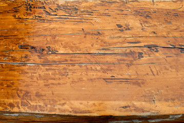Outdoor wood texture detail, natural shapes and strokes.