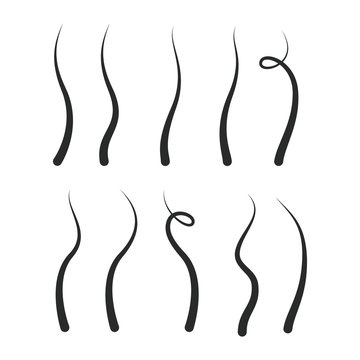 hair growth icon vector design illustration