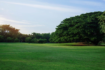 Trees and green lawns in park.