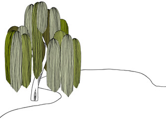 Landscape line art ink drawing, weeping willow tree beside pond © momosama