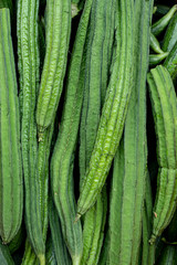 Fresh indian turia vegetable