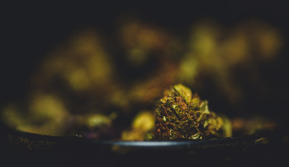 Macro close up of weed / cannabis buds in a grinder 