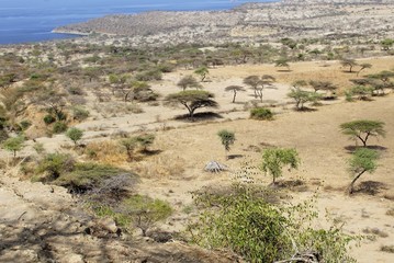 Panoramic View of the arid Landscape in Ethiopia’s Abijatta-Shalla National Park