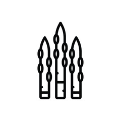 Black line icon for asparagus