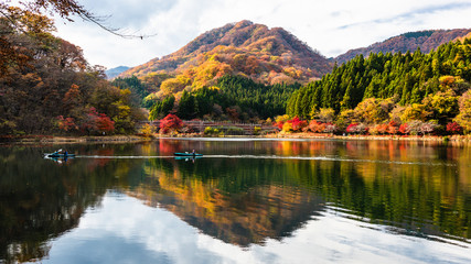 Obraz premium 日本の紅葉