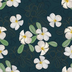 Plumeria flowers seamless pattern vector illustration