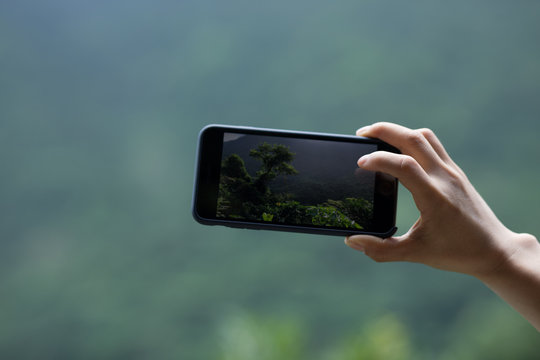 Hand using mobile phone taking picure in spring nature