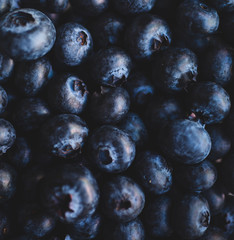 Natural Blueberries macro photography close up