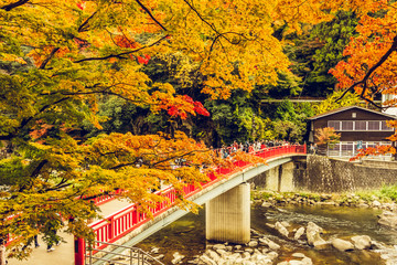 紅葉