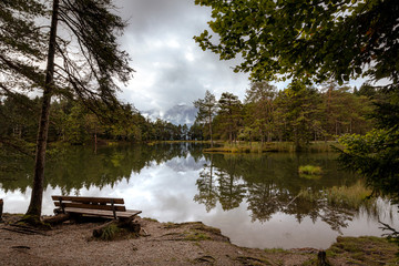 Empty wooden bench looking out onto a lake in a forest on a cloudy gloomy day
