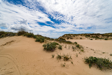 Playa de tarifa  arena natural
