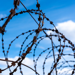 Barbed wire rusty on a background of blue sky
