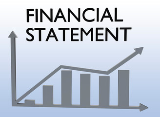 FINANCIAL STATEMENT concept