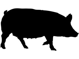 豚シルエット_2
