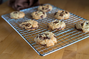 Homemade baked chocolate chip soft cookies cooling on a cooling rack. On a wooden background. Natural light.