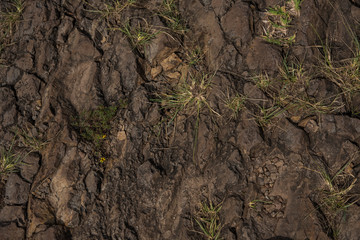 Muddy Texture of the ground