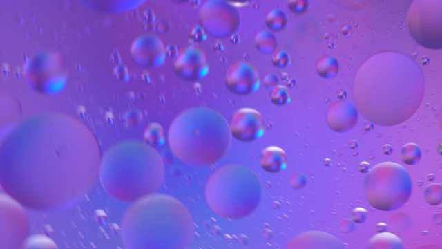 Oil bubbles in water macro. Neon purple pink ultraviolet and blue gradient background