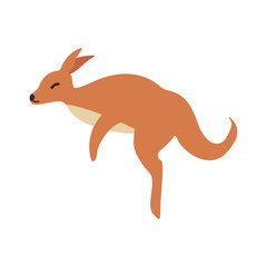 cute kangaroo animal