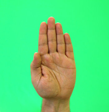 Gesture palm up fingers together. Symbol of voting, attract attention. Sign language and body. Green background. Male hand.