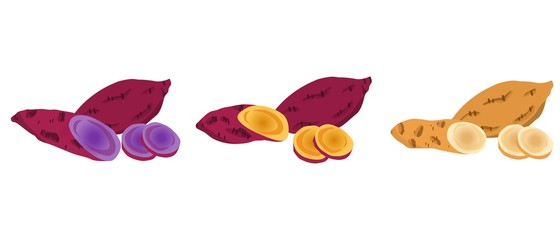 a set of potatoes, Japanese sweet potato, purple potato, cassava