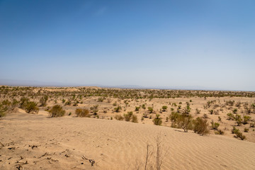 Fototapeta na wymiar desert / sand dune landscape view near Yazd in Iran