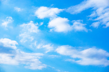 Obraz na płótnie Canvas Sky with various types of clouds　　様々な種類の雲がある空