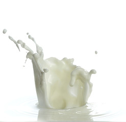 pouring of milk splash isolated white background