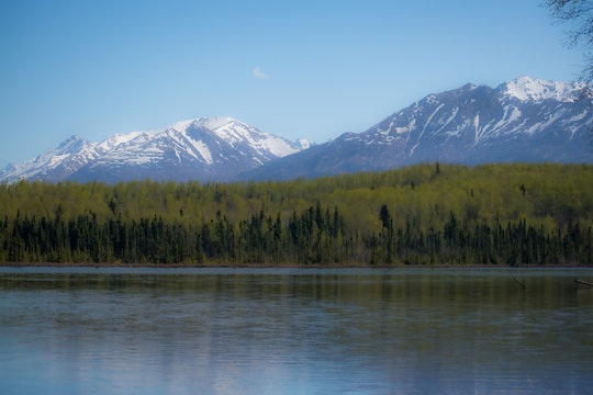 Stylized imgae of the Alaskan wilderness to simulate a painting.