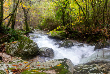 waterfall brook in matese park morcone sassinoro